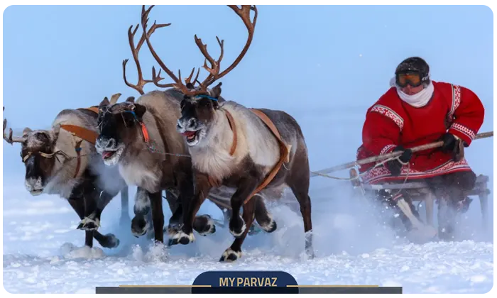 Reindeer Herders Festival in Yamal